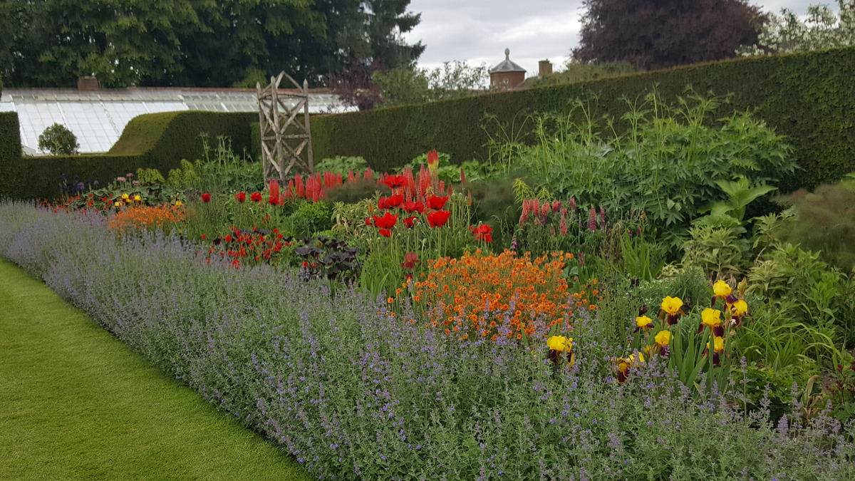 RHS Houghton Hall gardens mixed border